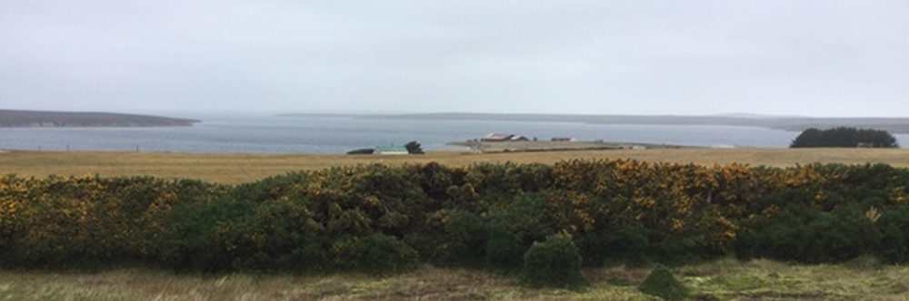 TEAL INLET, Falkland Islands